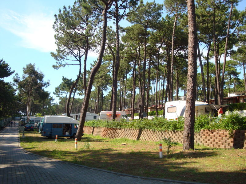 Parque De Campismo Orbitur Viana Do Castelo Hotel Exterior photo